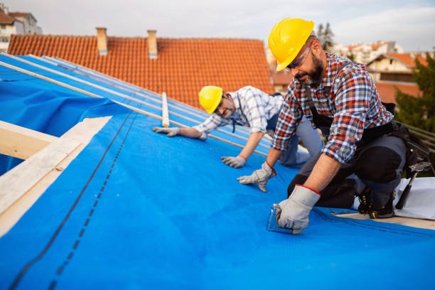 Roof Gutter Cleaning in Odenton, MD